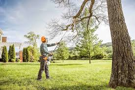 Leaf Removal in Houston, AK