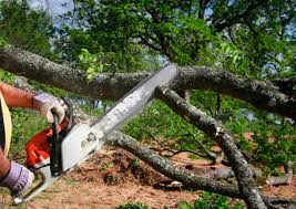 Best Leaf Removal  in Houston, AK